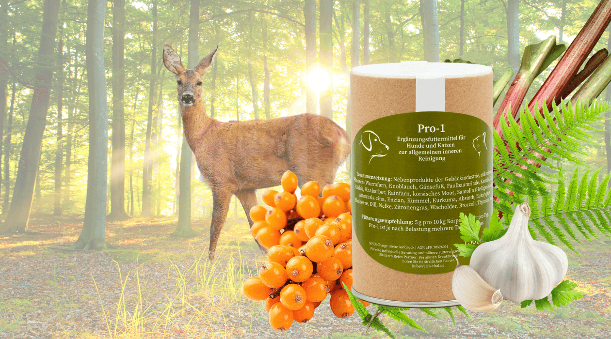 Naturalny środek na robaki u psów i kotów